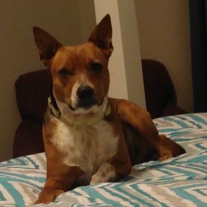 Meet your Posher, Scott n brandy